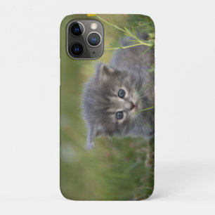 Personalized Cute Kitten iPhone 11 Pro Case