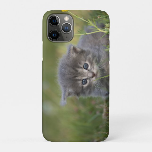 Personalized Cute Kitten Case-Mate iPhone Case (Back)