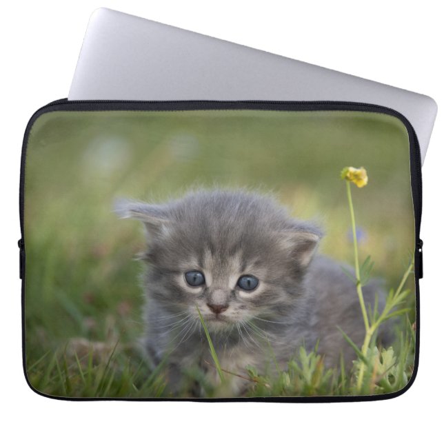 Personalized Cute Kitten Laptop Sleeve (Front)