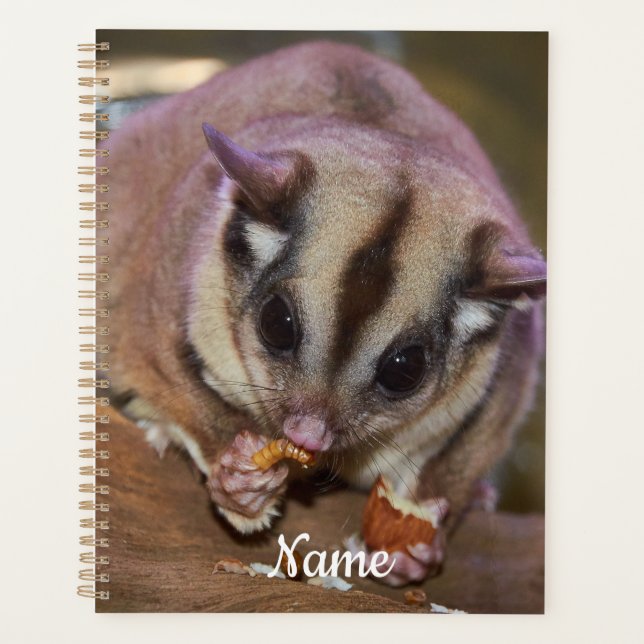 Personalized Cute Pet Sugar Glider Eating  Planner (Front)