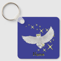 Personalized Cute Star Owl Blue Background
