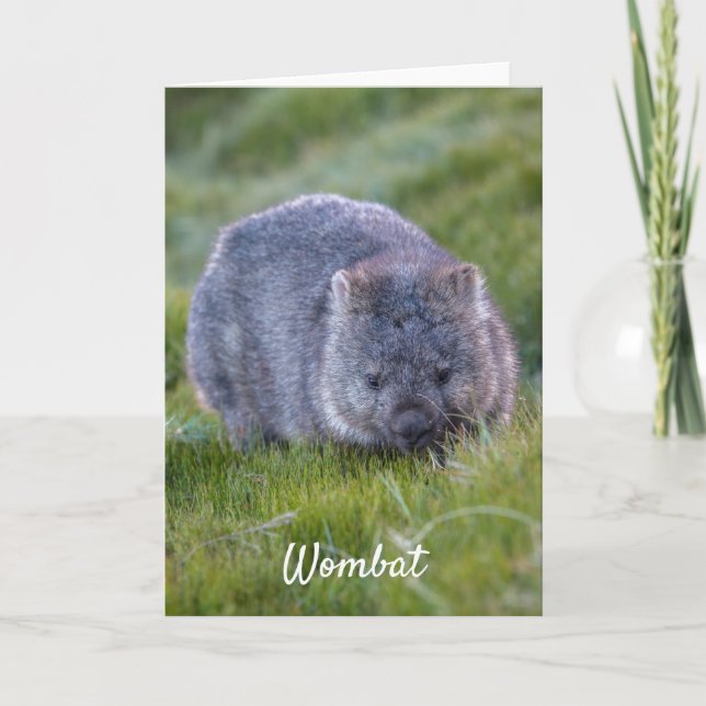 Personalized Cute Wombat Animal Tasmania Australia Card (Front)