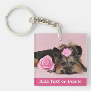 yorkie accessories