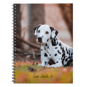 Personalized// Dalmatian Dog Notebook