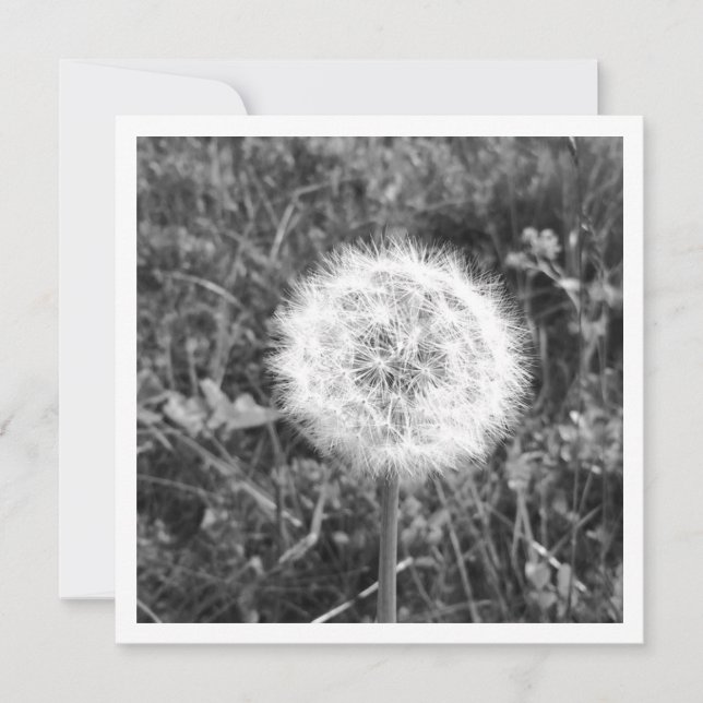 Personalized dandelion card (Front)