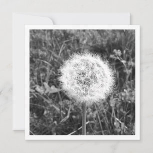 Personalized dandelion card