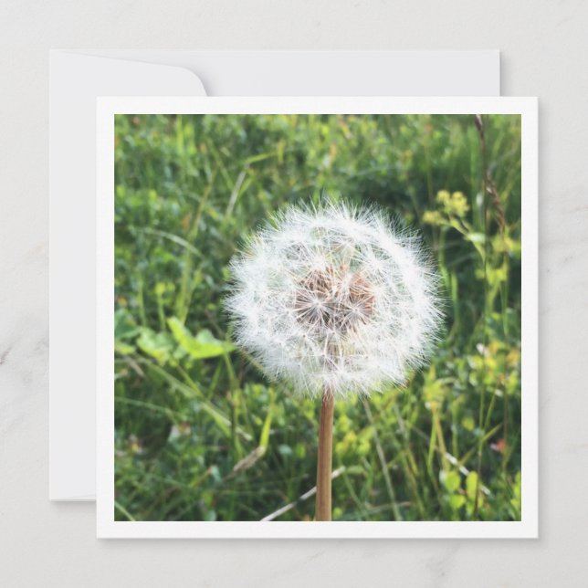 Personalized dandelion card (Front)