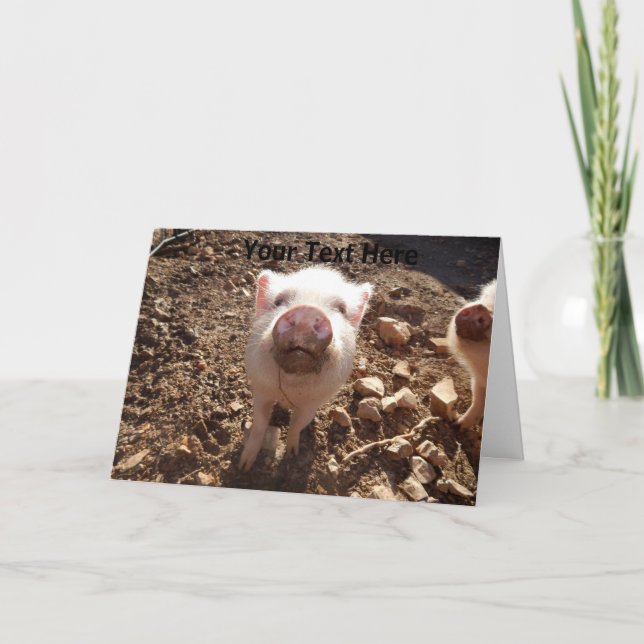 Personalized Dirty Snout Mini Pig Greeting Card (Front)