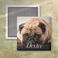 Personalized Dog Cat Pet Photo Script Name