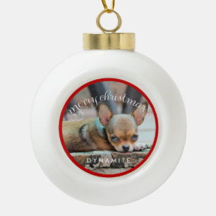 Personalized Dog Christmas Ornaments Ceramic Ball