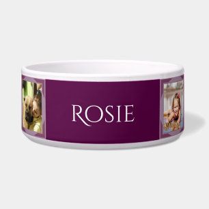 Personalized Dog Food Bowl - HAMbWG