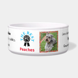 Personalized Dog Food Bowl - Ribbon- HAMbWG