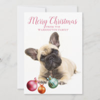Personalized Dog Holiday | French Bulldog