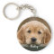 Personalized Dog Lover Simple Photo Pet Memorial
