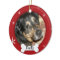 Personalized Dog/Pet Photo Holiday