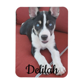 Personalized Dog | Pet Photo  Magnet
