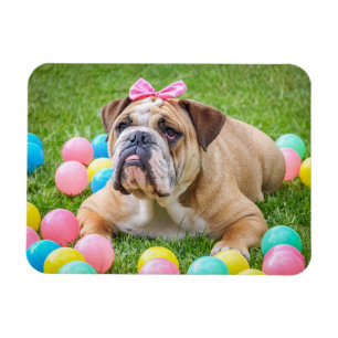 Personalized Dog Pet Photo Magnet