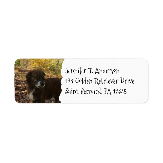 Personalized Dog Pet Photo Return Address (Front)