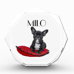 Personalized Dog  Photo Block