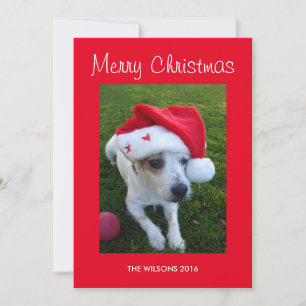Personalized Dog Photo Christmas Card