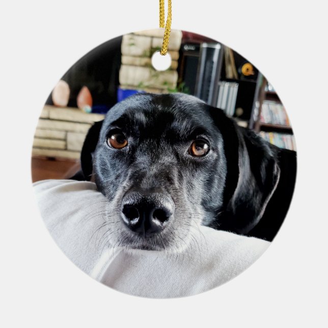 Personalized Dog Photo Christmas Ceramic Ornament (Front)