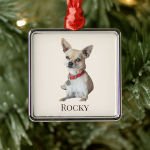 Personalized Dog Photo Custom Pet Name Metal Ornament