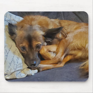 Personalized Dog Photo   Mouse Pad