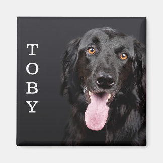 Personalized Dog Photo Refrigerator Magnet