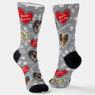 Personalized Dog Photo Socks | Custom Dog Socks
