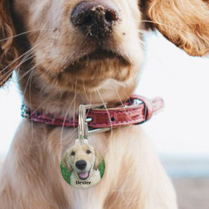 Personalized dog tag / Dog name tag