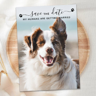 Personalized Dog Wedding Pet Photo Save The Date