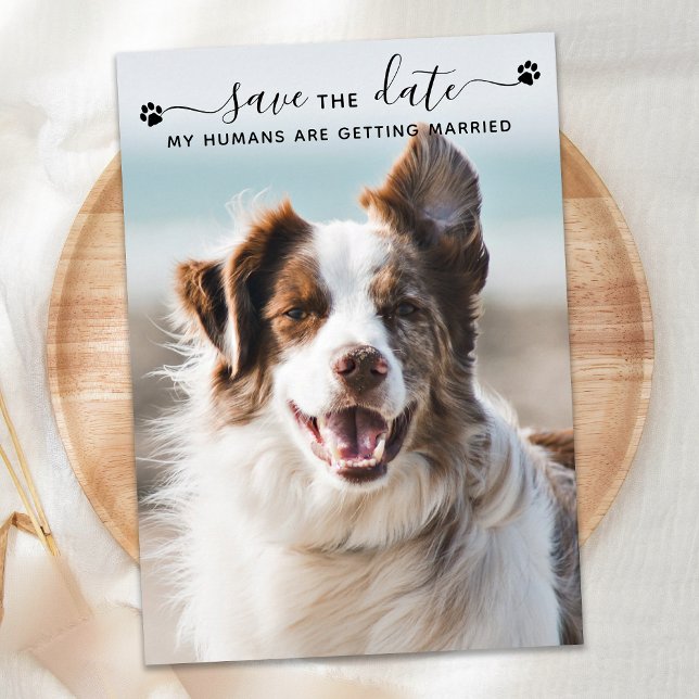 Personalized Dog Wedding Pet Photo Save The Date (Creator Uploaded)