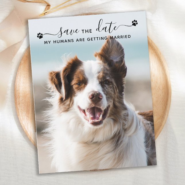 Personalized Dog Wedding Pet Photo Save The Date Announcement Postcard (Creator Uploaded)