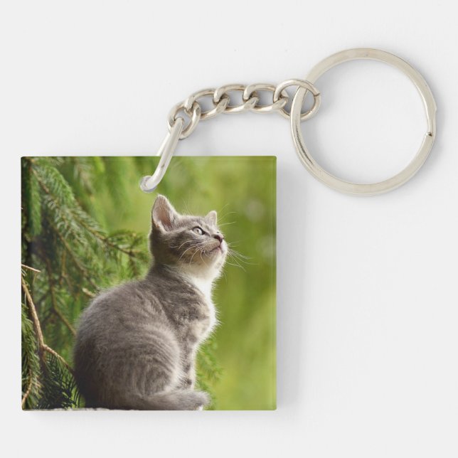 Personalized Double Sided Kitty Cat Pet Keychain (Back)