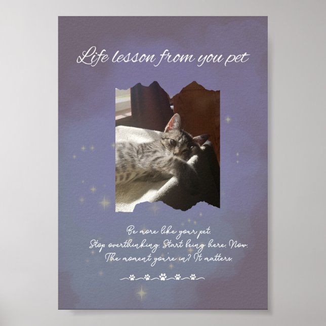 Personalized Dreamy Life Lessons from your Pet  Poster (Front)