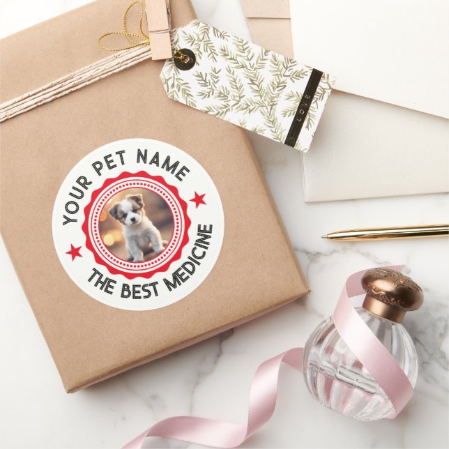 Personalized Editable Pet Lovers Classic Round Sticker (Gifting)