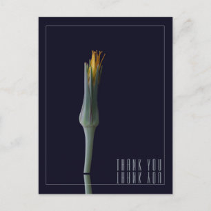 Personalized Elegant Floral Mirror Black Thank You Postcard