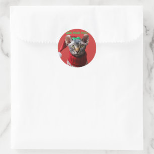 Personalized Elf Sphynx Cat Photo Christmas  Classic Round Sticker