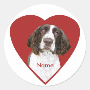 Personalized English Springer Spaniel Stickers