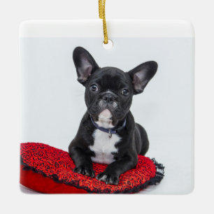 Personalized Family Acrylic Keepsake Ornament