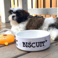 Personalized Feeding Modern Pup Icon Dog Bowl
