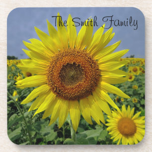 Personalized Field of Sunflowers Coaster