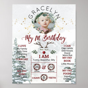 Personalized First Birthday Winter Edition Poster