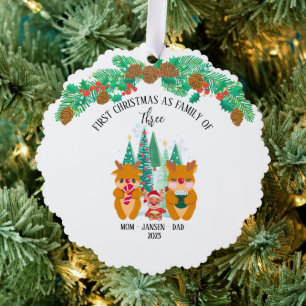 Personalized First Christmas Reindeer  Ornament Card