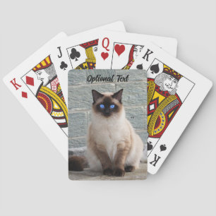 Personalized Fluffy Cat with Blue Eyes Playing Cards