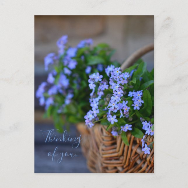 Personalized//Forget-me-nots In A Basket Postcard (Front)