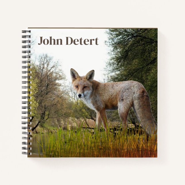 Personalized Fox in Woods Journal Notebook (Front)