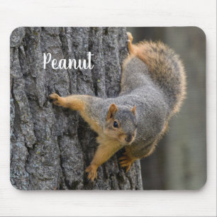 Personalized Fox Squirrel on a Tree Mouse Pad