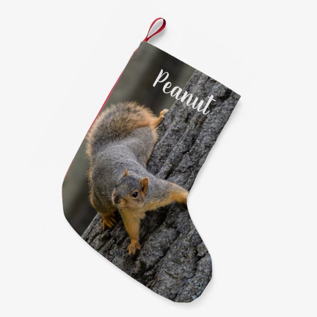 Personalized Fox Squirrel on a Tree Small Christmas Stocking (Front (Hanging))