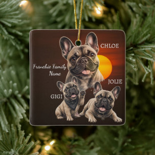 Personalized French Bulldog Family Names Ceramic Ornament